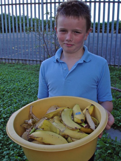a picture of a student taking bananas to the compost bin